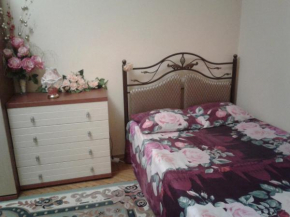 Apartamienty Gorkogho 38
